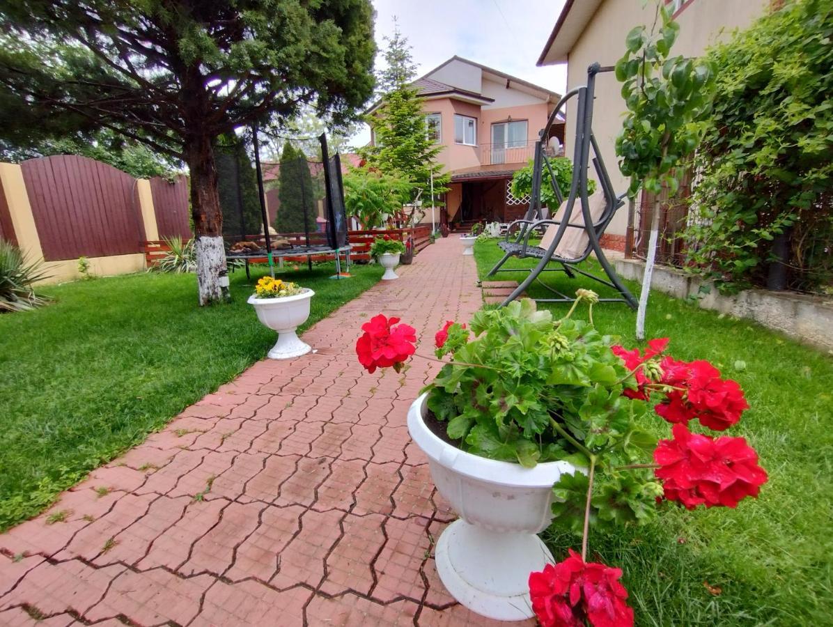 ホテル Casa Aura 1 コスティネシュティ エクステリア 写真
