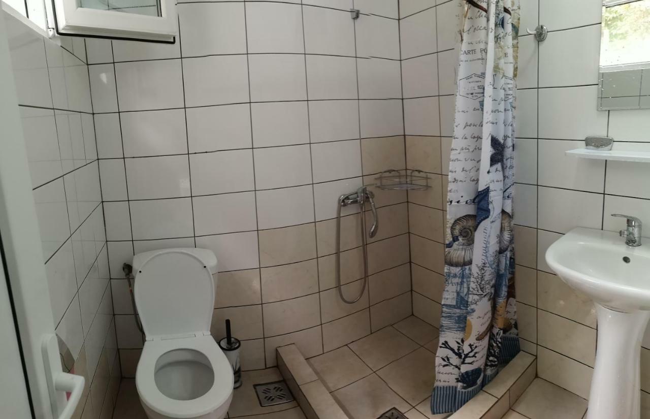 ホテル Casa Aura 1 コスティネシュティ エクステリア 写真
