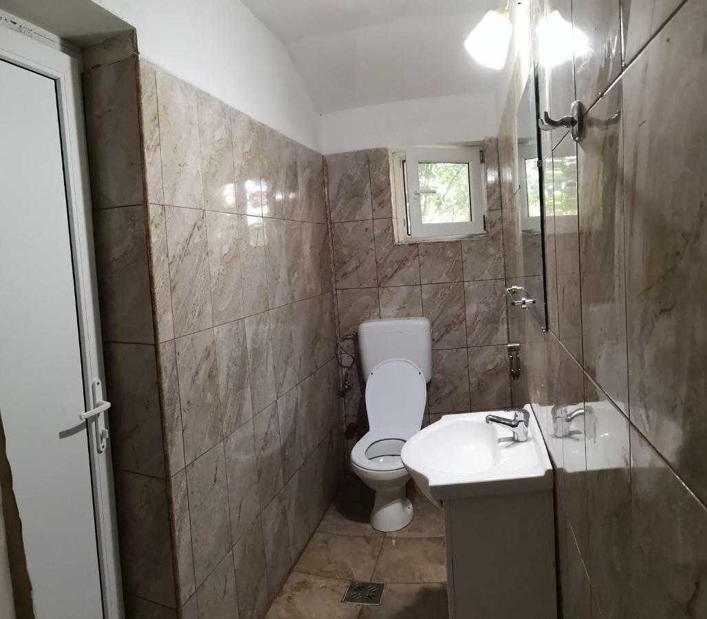ホテル Casa Aura 1 コスティネシュティ エクステリア 写真